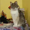 Отзыв от Анжелика Шилова